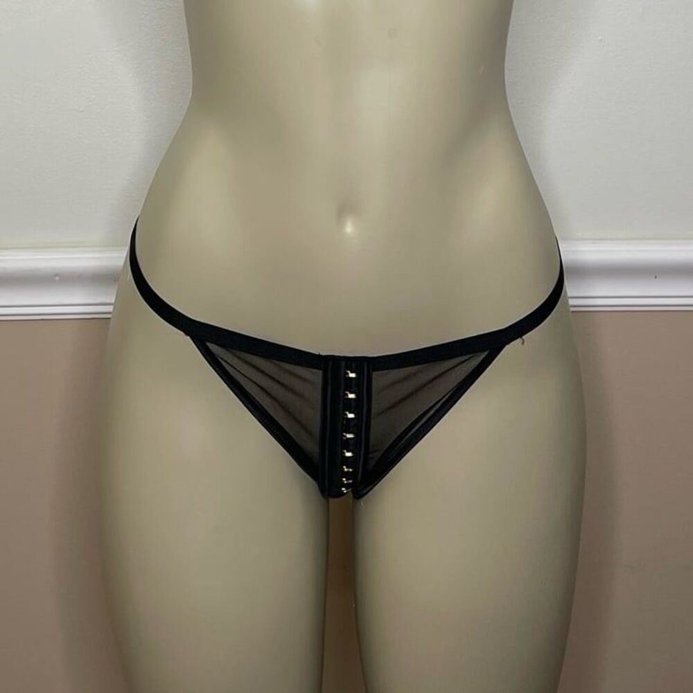 Victoria’s Secret Luxe Sheer Mesh Velvet Trim Scallop Lace Hook Brazilian Panty
